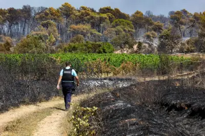 Origine des incendies dans le Var : enquêtes en cours, prudence