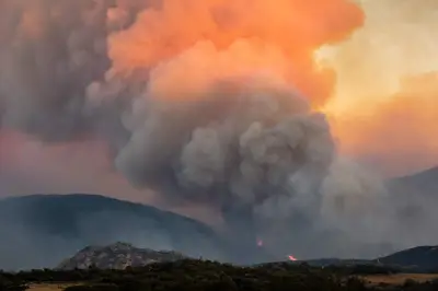 Pastoralisme : la Conf' demande un soutien pour prévenir les incendies