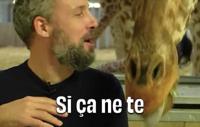 Petit-déjeuner des girafes : une expérience insolite au zoo de Paris