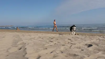 Plages du Biterrois : où peut-on aller avec son chien cet été ?
