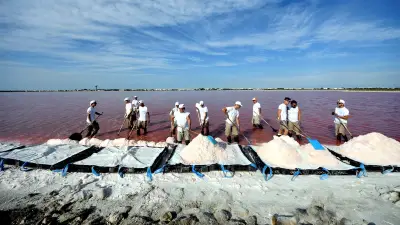 Pluies diluviennes : la récolte de sel d'Aigues-Mortes à l'arrêt, 200 tonnes perdues