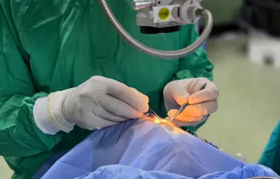 Première greffe de la macula : une Italienne recouvre la vue