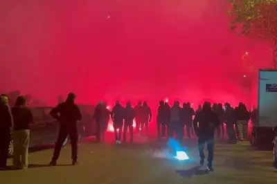 Procès des supporters niçois : prison ferme requise pour violences contre Moffi et Boga