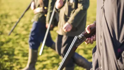 Pétition pour interdire la chasse dans les forêts brûlées : 280 000 signatures
