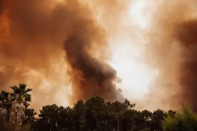Pyrocumulonimbus : ce nuage de feu observé lors de l'incendie en Gironde