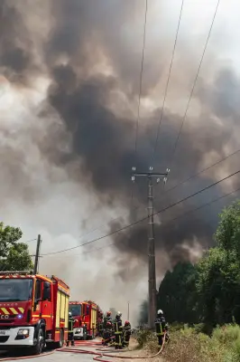 Pyrocumulonimbus : comment la Gironde a connu un orage de feu