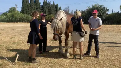 Équithérapie pour enfants autistes avec la compagnie Gruss à Béziers