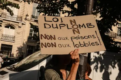 Réintroduction de deux pesticides interdits en France : ce que prévoit la loi