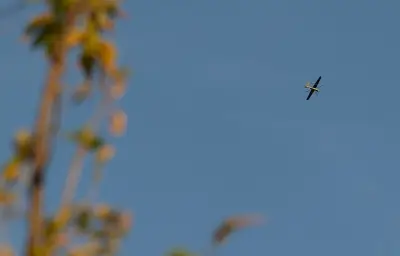 Roumanie : troisième drone abattu en trois jours, le président hausse le ton