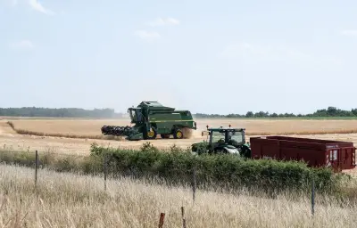Sécheresse et moissons : les agriculteurs face au risque d'incendie