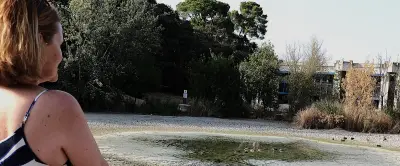 Sécheresse : les canards colverts du Château d'Alco perdent leur plan d'eau