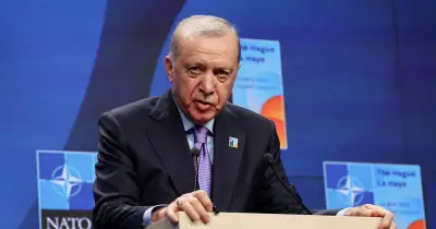 Sommet de l'Otan en Turquie : Erdogan triomphe malgré les critiques