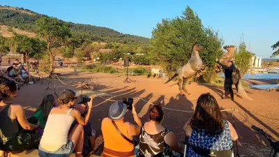 Spectacle équestre 