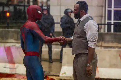 Spider-Man, I Want Your Sex, Les Matins Merveilleux : les sorties de la semaine