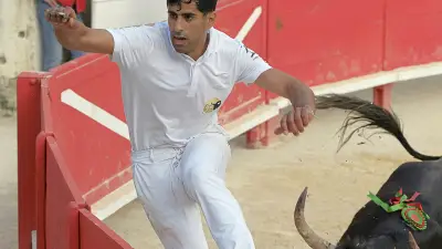 Suspension du raseteur Joachim Cadenas après une altercation à Beaucaire