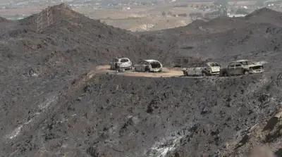 Terres cramées en Espagne : le désastre en images