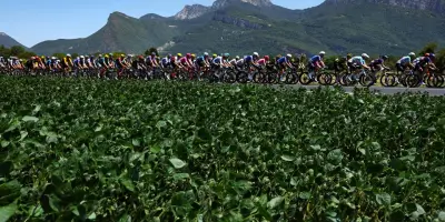 Tour de France 2026 : suivez la 19e étape en direct