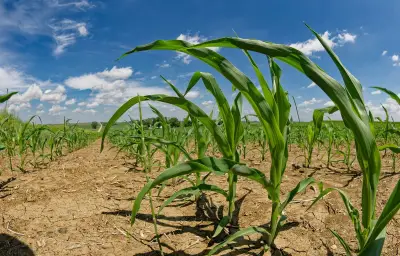 Un climatosceptique nommé à la tête du programme climat américain
