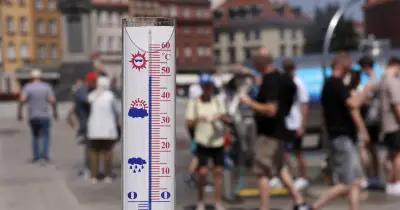 Un Nutri-Score climatique pour noter la dette souveraine des États
