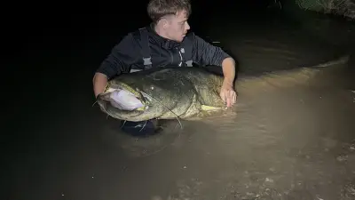 Un pêcheur de 22 ans capture un silure géant de 2,50 m et 110 kg dans l'Hérault