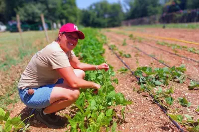 Une exploitation agricole ouvre à Opio après un siècle sans agriculture