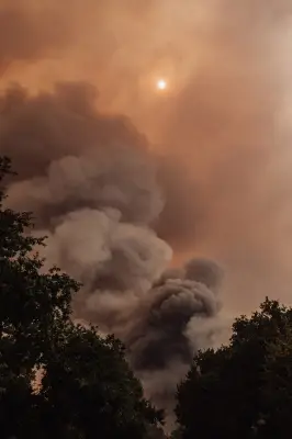 Vagues de chaleur répétées : un cocktail parfait pour les incendies