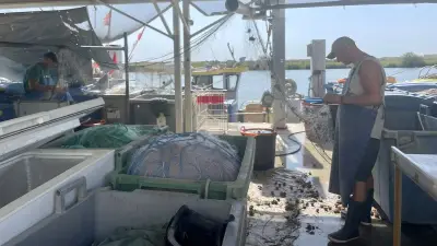 Valras : les derniers petits pêcheurs vendent leur poisson en direct