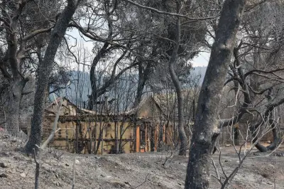 Var : 2 500 hectares brûlés, les pompiers luttent contre les reprises
