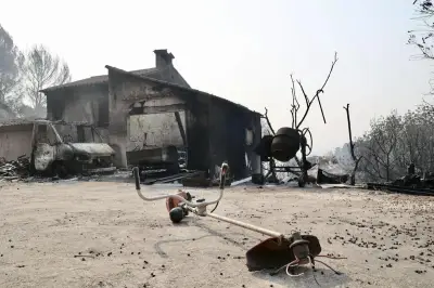 Var : désolation à Cotignac après le passage des flammes, 2500 hectares brûlés