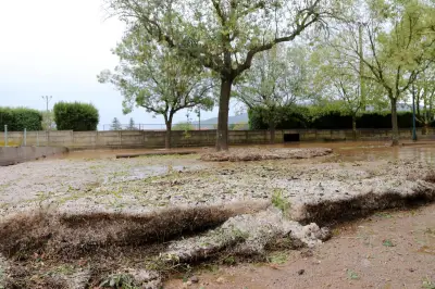 Var en vigilance jaune orages et canicule ce vendredi 10 juillet
