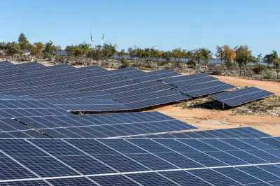 Var : la préfecture bloque un parc solaire pour protéger les zones humides
