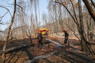 Var : les pompiers sous pression face à une semaine à haut risque d'incendie