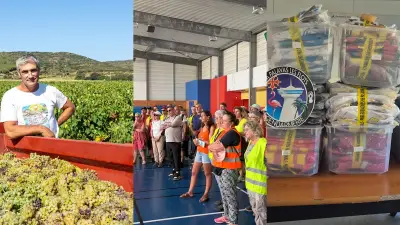 Vendanges précoces, corps retrouvé, maillots saisis : l'actu en région
