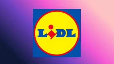 Ventilateur de plafond Lidl à 34,99€ : offre à saisir avant la chaleur