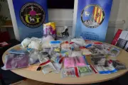 10 kg de kétamine dans des croquettes pour chiens : deux dealers en détention