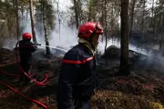 2 000 hectares brûlés dans la forêt de Fontainebleau : la France suffoque