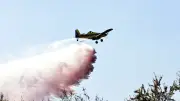 26 départements en vigilance rouge canicule, plus de 1 900 hectares brûlés à Fontainebleau