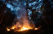 27 départements en risque élevé de feux de forêt, 6 en vigilance orange canicule
