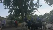 43e fête d'été de Valergues : traditions taurines et animations du 23 au 26 juillet