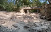 93% des nappes phréatiques en baisse en France