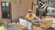 Abeilles et enquête médiévale : l'été animé à la médiathèque de Salindres
