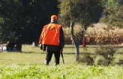 Accidents de chasse : quatre morts, un plus bas historique en 2025-2026