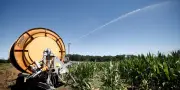 Accord parlementaire pour réintroduire des pesticides interdits et stocker l'eau