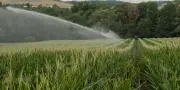 Adoption de la loi agricole suspendue à la question des pesticides