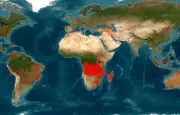 Afrique : que signifient les points rouges sur les cartes ?