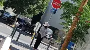 Agissons Ensemble lutte pour la protection des chats à Montpellier