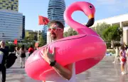 Albanie : la « révolution des flamants roses » secoue le gouvernement