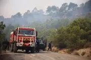 Algérie ravagée par une vague d'incendies inédite