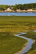 Algues vertes : des pêcheurs du Morbihan témoignent des difficultés