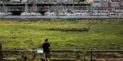Algues vertes : la volonté politique manque pour changer le modèle agricole